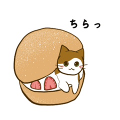 [LINEスタンプ] 苦難を越えた無難にゃんこ