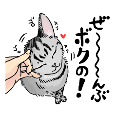 [LINEスタンプ] うちにいる可愛い子 スタンプ