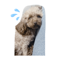 [LINEスタンプ] ちょびさんだよ③