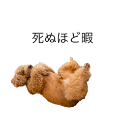 [LINEスタンプ] まっちょ5