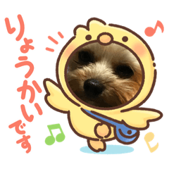 [LINEスタンプ] ワンコ 時々陸亀少し金魚①