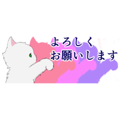 [LINEスタンプ] チンチラシルバー☆猫の小さめスタンプ