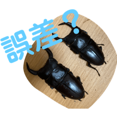 [LINEスタンプ] おおくわがた 実写版 ①