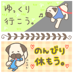 [LINEスタンプ] おでこのシワがのびたパグ／省スペース