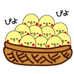 [LINEスタンプ] ひよぴよ子の日常