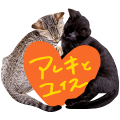 [LINEスタンプ] ねこのアレキとユイス
