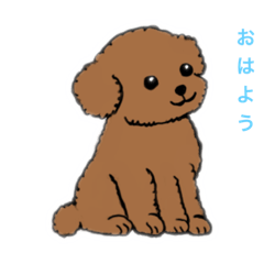 [LINEスタンプ] 今日もわんこスタンプ