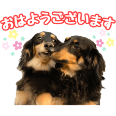 [LINEスタンプ] まろたろスタンプ