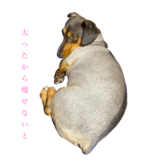 [LINEスタンプ] うちのディカプリオくん 日常編の画像（メイン）