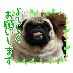 [LINEスタンプ] まるちゃん 2