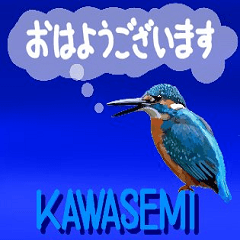 [LINEスタンプ] かわいい野鳥のささやき