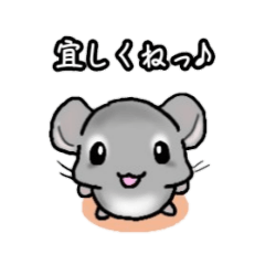 [LINEスタンプ] 毎日チンチラさん