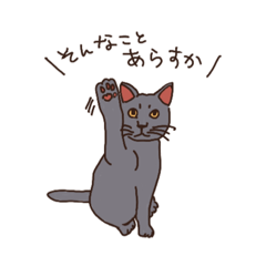 [LINEスタンプ] 三河弁を話すかわいい猫たち