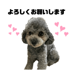 [LINEスタンプ] ふくちゃん＆ビリー②