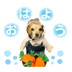 [LINEスタンプ] ミミたんまつり！