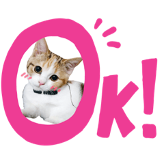 [LINEスタンプ] 短足ナッツ