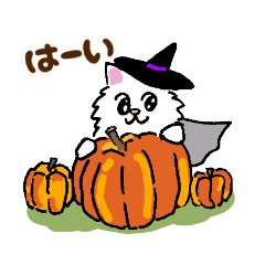 [LINEスタンプ] 毎日モフねこ