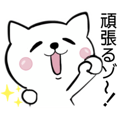 [LINEスタンプ] 毎日使える♪白ネコさんstamp