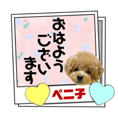 [LINEスタンプ] ペニ子☆レタースタンプ日常語②