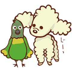 [LINEスタンプ] 白プードルとインコのスタンプ