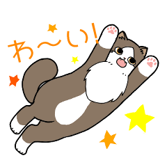 [LINEスタンプ] サイベリアンの琥珀はワガママ王子