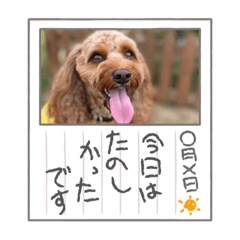 [LINEスタンプ] キャバプーのケバブくん2