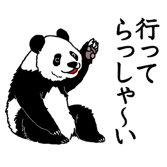 [LINEスタンプ] パンダの日常会話(デカ文字)