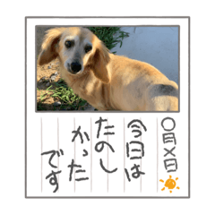 [LINEスタンプ] メグちゃん専用