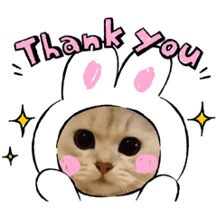 [LINEスタンプ] 白猫まろん2♡