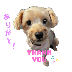 [LINEスタンプ] むらせ モカ
