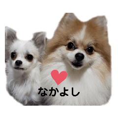 [LINEスタンプ] ひめと琥珀