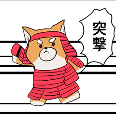 [LINEスタンプ] 闘う柴犬