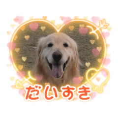 [LINEスタンプ] ジョン♪