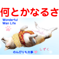 [LINEスタンプ] 赤いりぼんの輪を広げたいワン①