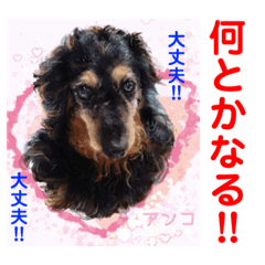 [LINEスタンプ] 赤いりぼんの輪を広げたいワン ⑦
