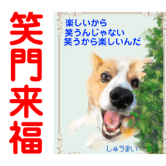 [LINEスタンプ] 赤いりぼんの輪を広げたいワン⑨