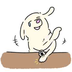 [LINEスタンプ] 犬！犬！犬～大好き～！！