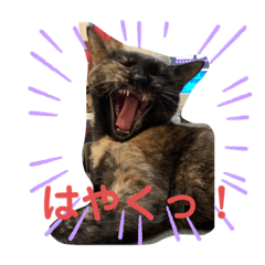 [LINEスタンプ] ねこのカワウソちゃん pt2