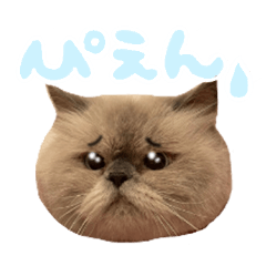 [LINEスタンプ] えぐいかわいい猫ちゃん ルナとヨリ