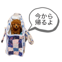 [LINEスタンプ] わきざかそらくんの画像（メイン）