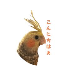 [LINEスタンプ] ときわ日常スタンプ