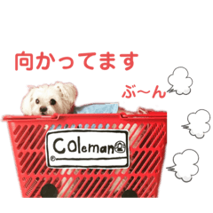 [LINEスタンプ] ぽぽちタイム