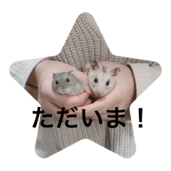 [LINEスタンプ] でんねもスタンプ3