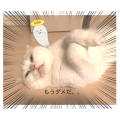 [LINEスタンプ] しろみの日常part2