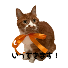 [LINEスタンプ] みーちゃんのスタンプ その2