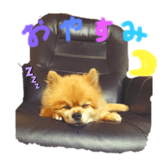 [LINEスタンプ] マリッチョン2