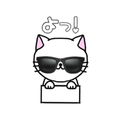 [LINEスタンプ] みんなに使ってほしい猫猫すたんぷ