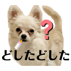 [LINEスタンプ] 激シブな日常