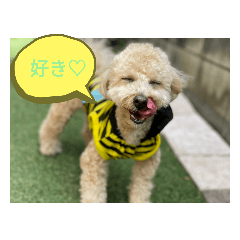 [LINEスタンプ] ポノちゃんスタンプその12