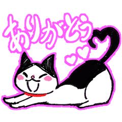 [LINEスタンプ] 猫のしらたまスタンプ